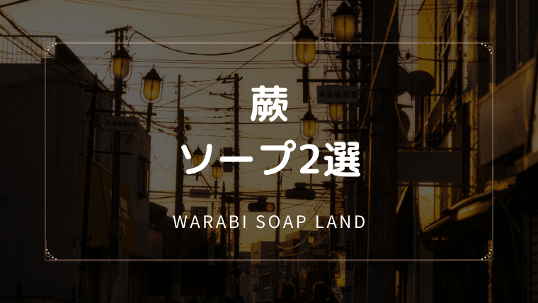 蕨のソープ2選
